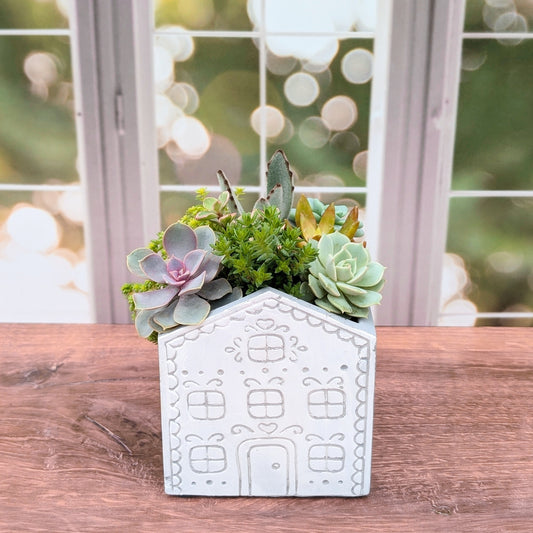 Holiday House Succulent Planter